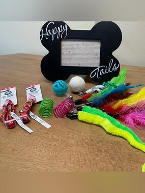 Cat Toy, Collar and Picture Frame Lot